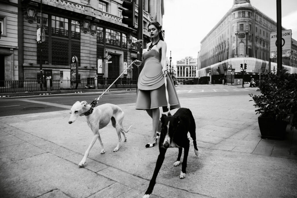 dogs1