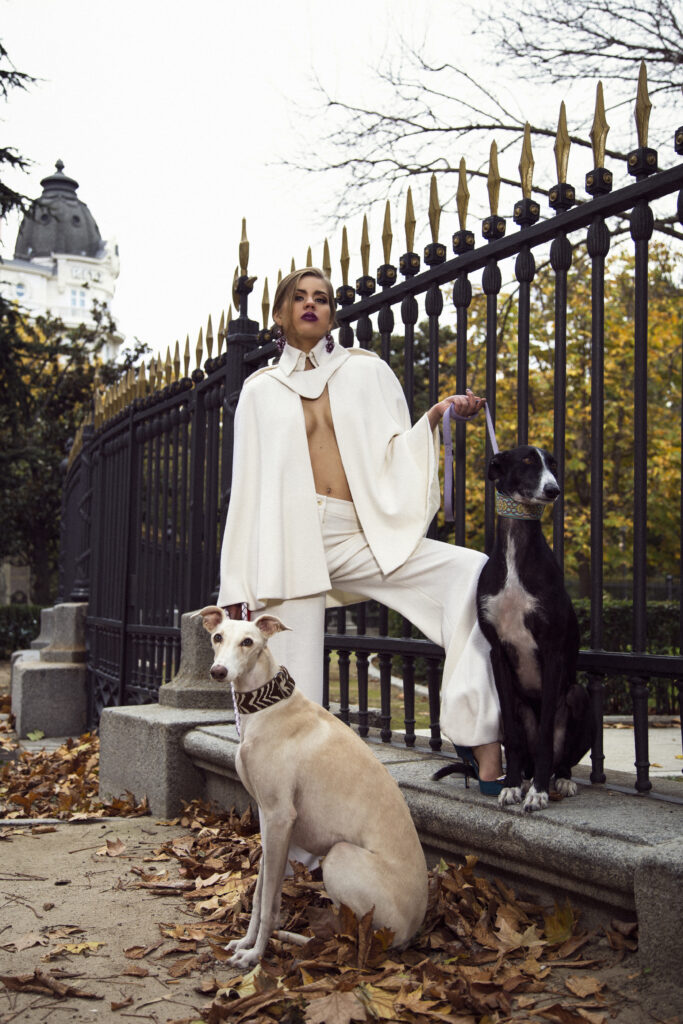 dogs2